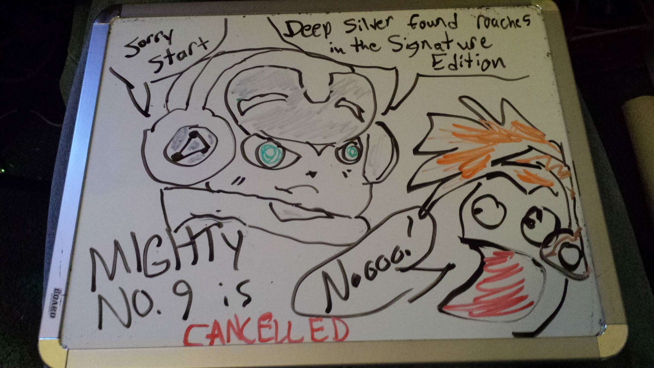 mighty_no_9_cancelled.jpg