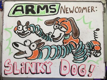 arms_newcomer_slinky.jpg
